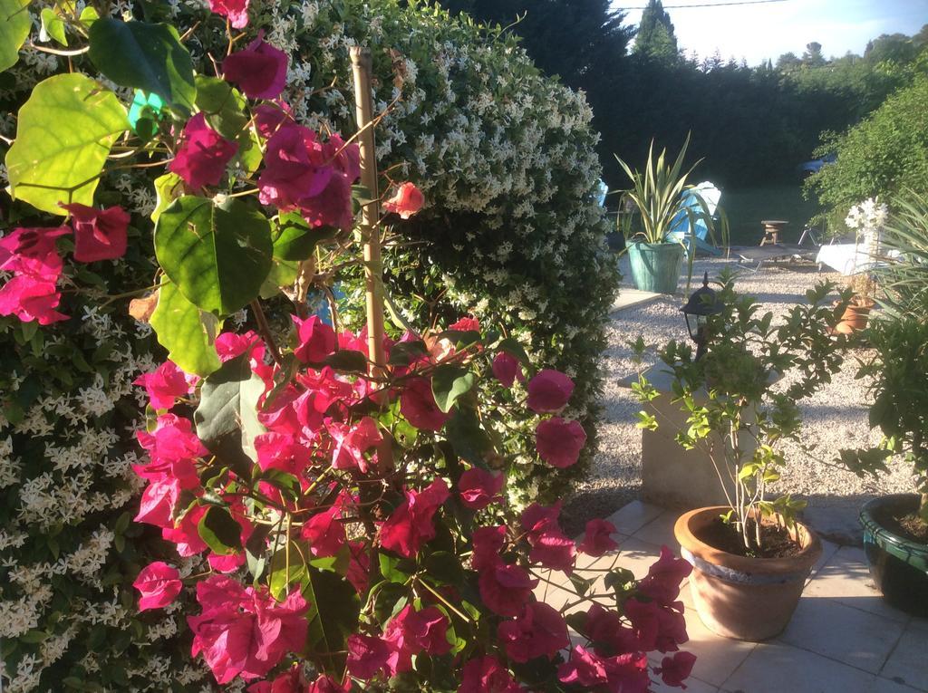 B&B Maison Brora Lorgues Zewnętrze zdjęcie